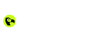 logo_d3